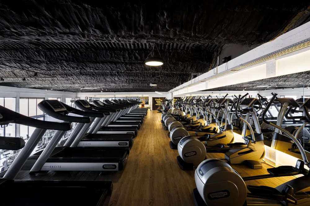 Phive Celas Piso de Cardio Phive Celas Piso de Cardio