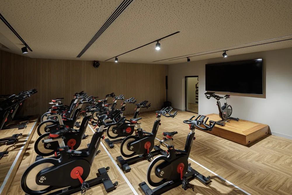 Phive Porto Studio RIDE